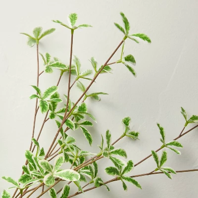 36" Faux Variegated Terminalia Leaf Branch - Hearth & Hand™ With Magnolia 2 36" Faux Variegated Terminalia Leaf Branch - Hearth & Hand™ With Magnolia - Image 2