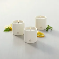 9oz Basil/Lemon/Thyme Speckled Ceramic Kitchen Candle Set - Hearth & Handâ„¢ With Magnolia